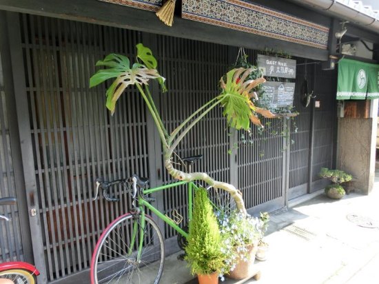 京都太鼓屋旅馆