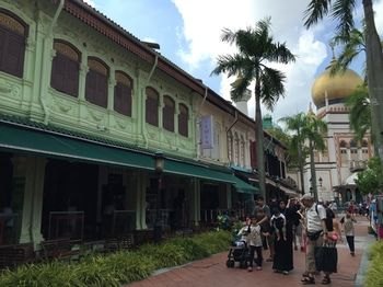 新加坡困倦猕猴桃背包客旅馆