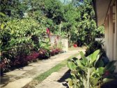 巴厘岛自然寄宿旅馆