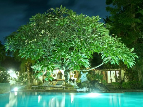 巴厘岛沙努尔纳塔芭利别墅酒店