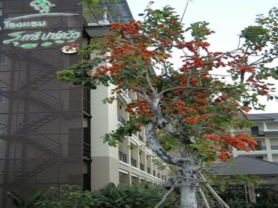 苏巴厘怡景酒店
