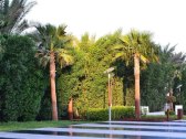 （罗达）安瓦吉套房朱美拉海滩别墅(Amwaj Suites Jumeirah Beach Residence (Roda