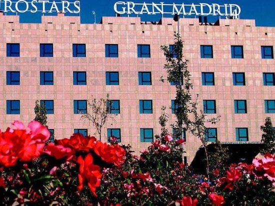 欧洲之星格兰马德里酒店