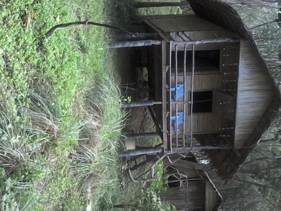 俊穆岛最后的渔夫山林小屋