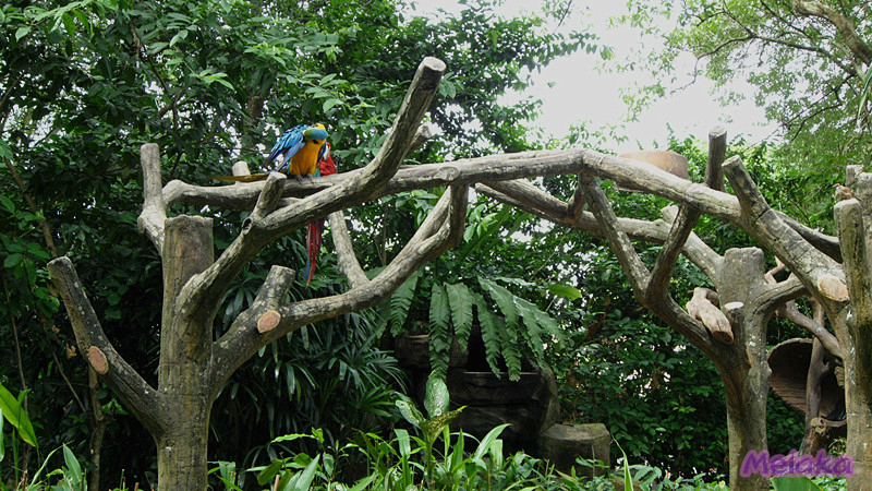 马六甲动物园
