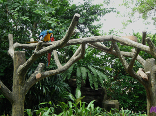 马六甲动物园