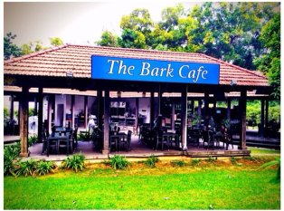 The Bark Cafe