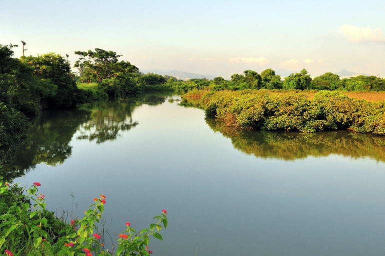 米埔自然保护区