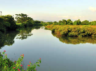 米埔自然保护区