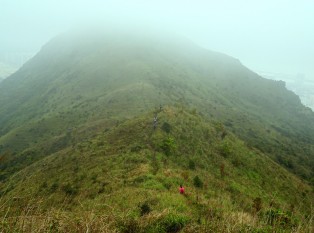 飞鹅山