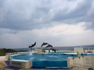 海洋博公园海豚表演剧场