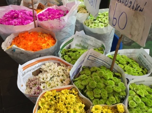 扎都扎花卉市场