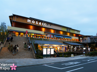 MOSAIC購物廣場