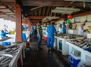 沙迦鱼市场