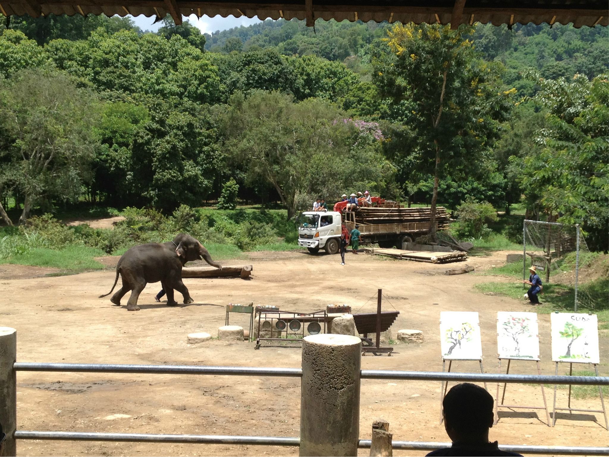 大象自然保护公园