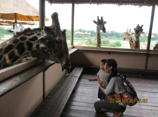 曼谷野生動物園