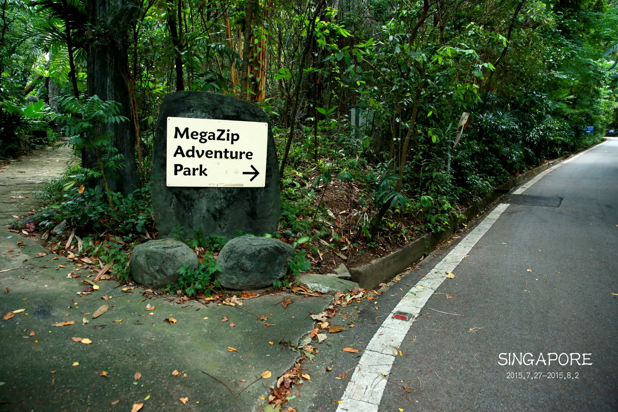Mega Zip Adventure Park