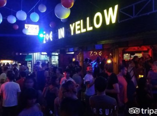 Zoe in Yellow Bar