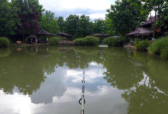 Pai Piranha Fishing Park