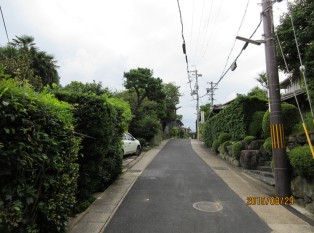 Sawarabi Street