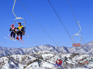 韩国阿尔卑西亚滑雪场