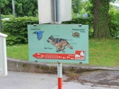 阿爾卑斯山動物園