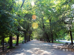 因德罗·蒙塔内利公共花园