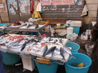 卡塔尼亚鱼市