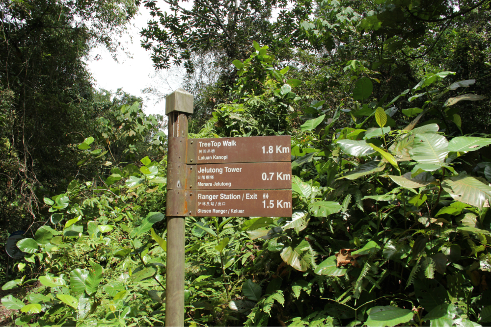 武吉知马自然保护区