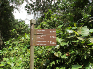武吉知马自然保护区
