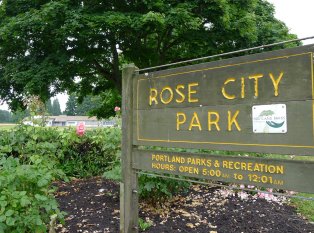 玫瑰城市公园