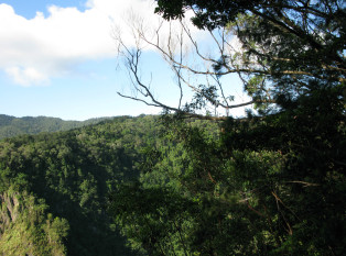 庫蘭達熱帶雨林自然公園