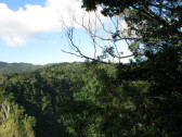 库兰达热带雨林自然公园