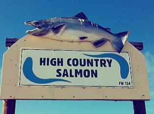 High Country Salmon