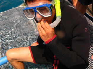 大堡礁潜水