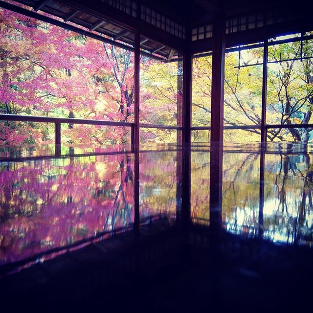 网红打卡地—京都琉璃光院