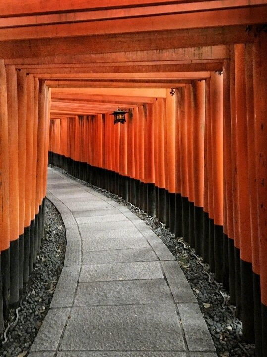  京都必打卡—伏见稻荷神社